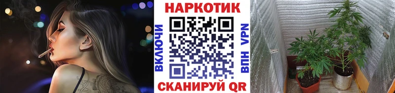 Купить наркотики Гатчина Гашиш АМФЕТАМИН Меф мяу мяу