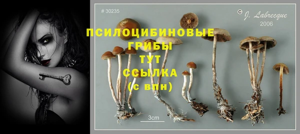 прущие крисы Волоколамск